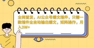 全网首发,AI公众号爆文插件,只需一款插件全自动输出爆文,矩阵操作,月入3W+【揭秘】-资源云