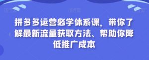 拼多多运营必学体系课,带你了解最新流量获取方法、帮助你降低推广成本-资源云