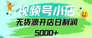 视频号无货源小店从0到1日订单量千单以上纯利润稳稳5000+【揭秘】-资源云