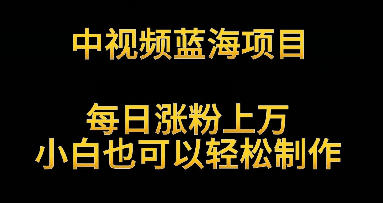 中视频蓝海项目，解读英雄人物生平，每日涨粉上万，小白也可以轻松制作，月入过万不是梦【揭秘】-资源云