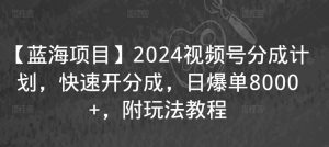 【蓝海项目】2024视频号分成计划,快速开分成,日爆单8000+,附玩法教程-资源云