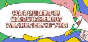 拼多多培训班第34期:做高价女装必盈利剖析选品/测款/运营/推广/拓展-资源云