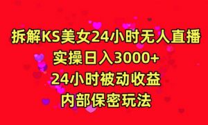 利用快手24小时无人美女直播,实操日入3000,24小时被动收益,内部保密玩法【揭秘】-资源云