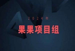 2024年果果项目组项目合集-果果最新项目-资源云