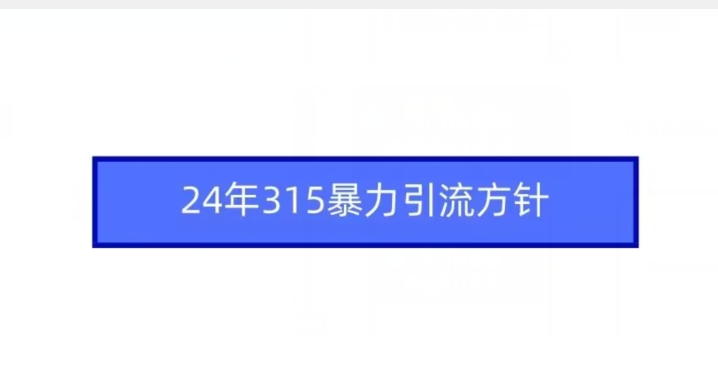 24年315暴力引流方针-资源云