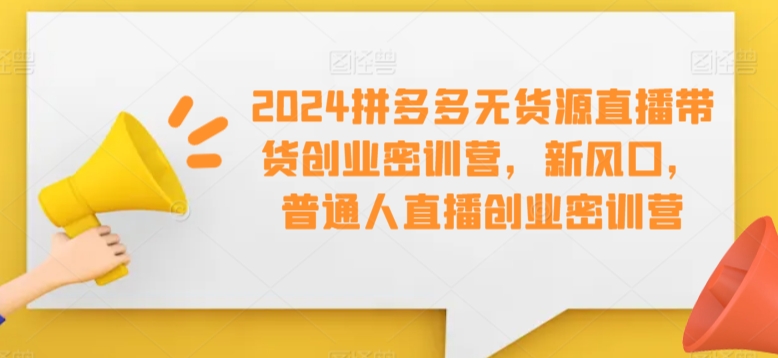 2024拼多多无货源直播带货创业密训营，新风口，普通人直播创业密训营-资源云