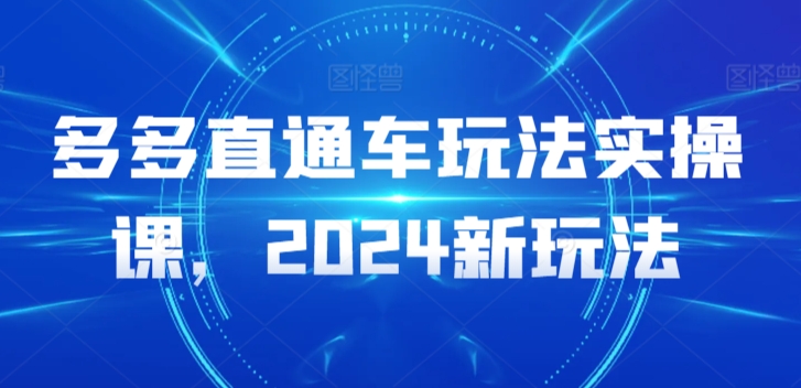 多多直通车玩法实操课，2024新玩法-资源云