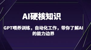 AI硬核知识-GPT喂养训练,自动化工作,带你了解AI的能力边界(10节课)-资源云