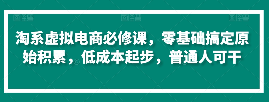 淘系虚拟电商必修课，零基础搞定原始积累，低成本起步，普通人可干-资源云