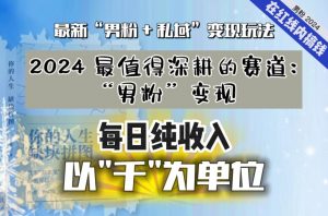 【私域流量最值钱】把“男粉”流量打到手,你便有无数种方法可以轻松变现,每日纯收入以“千”为单位-资源云