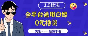 外面收费2980的全平台通用白嫖撸货项目2.0玩法【仅揭秘】-资源云