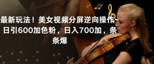 最新玩法!美女视频分屏逆向操作~日引600加色粉,日入700加,条条爆【揭秘】-资源云