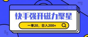 信息差赚钱项目,快手强开磁力聚星,一单20,日入200+【揭秘】-资源云