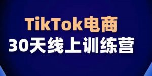 TikTok电商带货30天线上课,不可错过的全球流量洼地!-资源云