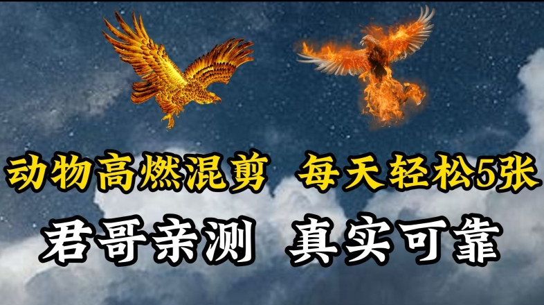 动物超燃混剪，每天轻松5张，剪辑简单大家爱看【揭秘】-资源云