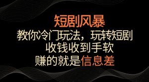 短剧风暴，教你冷门玩法，玩转短剧，收钱收到手软【揭秘】-资源云