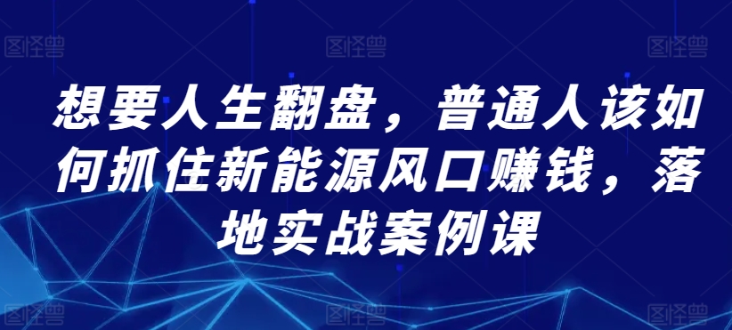 想要人生翻盘，普通人该如何抓住新能源风口赚钱，落地实战案例课-资源云