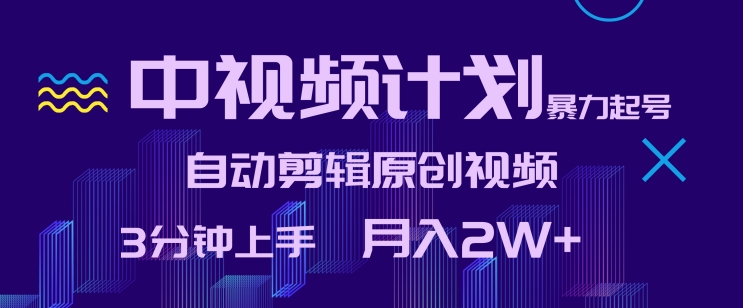 中视频计划暴力起号，自动剪辑原创视频，3分钟上手，月入2W+【揭秘】-资源云