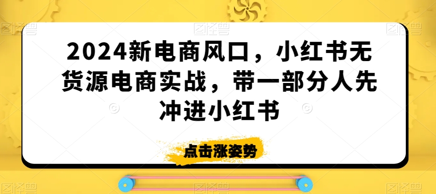 2024新电商风口，小红书无货源电商实战，带一部分人先冲进小红书-资源云