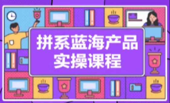 拼系冷门蓝海产品实操课程，从注册店铺到选品上架到流量维护环环相扣-资源云