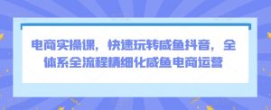 电商实操课,快速玩转咸鱼抖音,全体系全流程精细化咸鱼电商运营-资源云