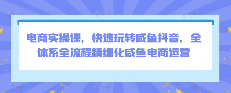 电商实操课，快速玩转咸鱼抖音，全体系全流程精细化咸鱼电商运营-资源云