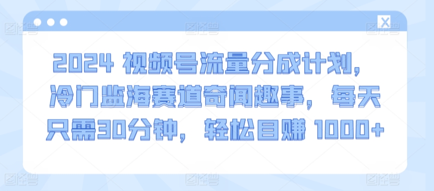 2024视频号流量分成计划，冷门监海赛道奇闻趣事，每天只需30分钟，轻松目赚 1000+【揭秘】-资源云