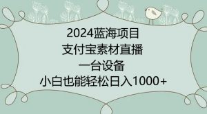 2024年蓝海项目,支付宝素材直播,无需出境,小白也能日入1000+ ,实操教程【揭秘】-资源云