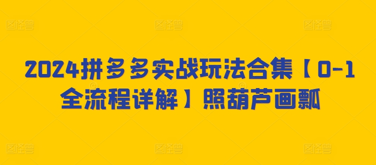 2024拼多多实战玩法合集【0-1全流程详解】照葫芦画瓢-资源云
