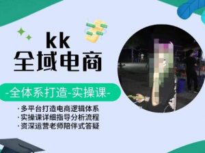 KK全域电商，全体系打造实操课，多平台打造电商逻辑体系-资源云