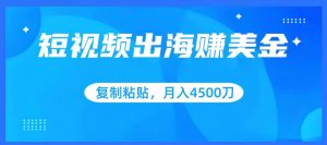 短视频出海赚美金,复制粘贴批量操作,小白轻松掌握,月入4500美刀【揭秘】-资源云