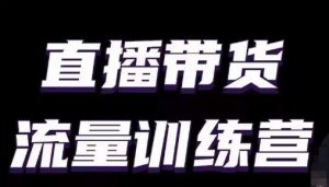 直播带货流量训练营,小白主播必学直播课-资源云