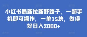 小红书最新拉新野路子,一部手机即可操作,一单15块,做得好日入2000+【揭秘】-资源云