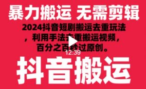 2024最新抖音搬运技术,抖音短剧视频去重,手法搬运,利用工具去重,达到秒过原创的效果【揭秘】-资源云