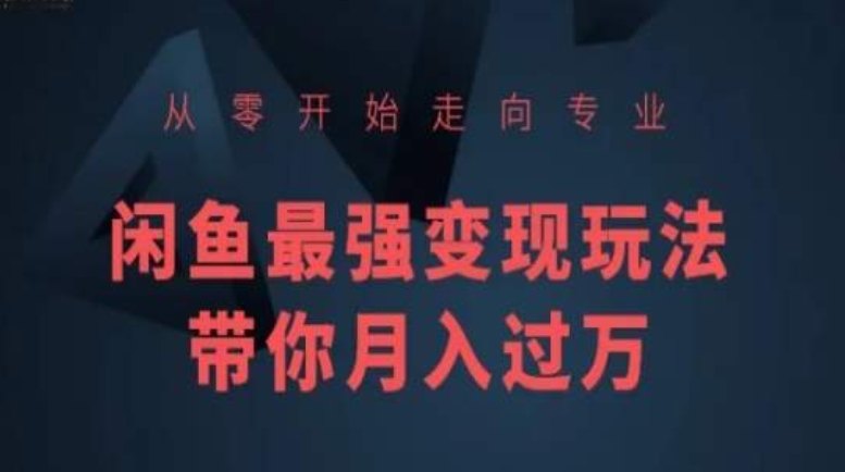 从零开始走向专业，闲鱼最强变现玩法带你月入过万-资源云