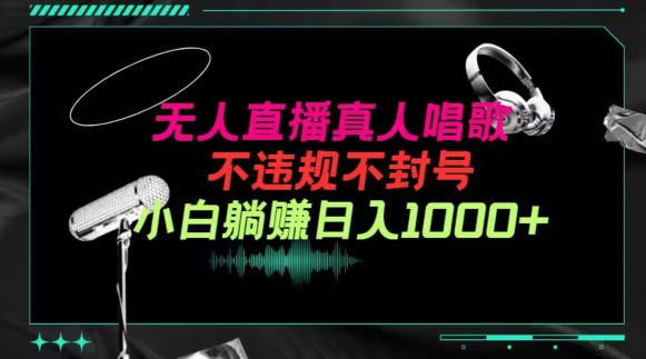 抖音24小时无人直播音乐，不违规，不封号纯撸音浪，小白实操当天日入1000+【揭秘】-资源云
