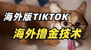 抖音海外版tiktok撸金技术，这个风口行业，赚钱真的不难【揭秘】-资源云
