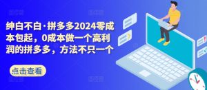 拼多多2024零成本包起,0成本做一个高利润的拼多多,方法不只一个-资源云