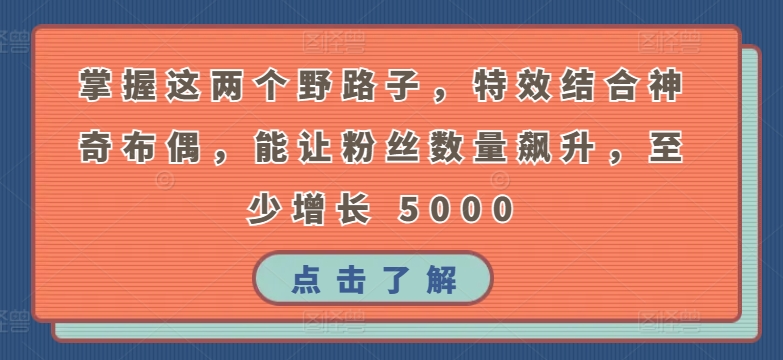 掌握这两个野路子，特效结合神奇布偶，能让粉丝数量飙升，至少增长 5000【揭秘】-资源云