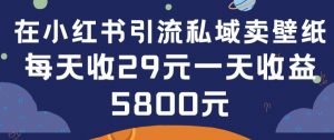 在小红书引流私域卖壁纸每张29元单日最高卖出200张(0-1搭建教程)【揭秘】-资源云