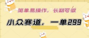 小众赛道，一单299.简单易操作，长期可做【揭秘】-资源云