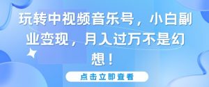 玩转中视频音乐号,小白副业变现,月入过万不是幻想【揭秘】-资源云