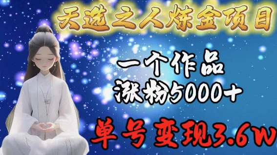 天选之人炼金项目，一个作品涨粉5000+，单号变现3.6w【揭秘】-资源云