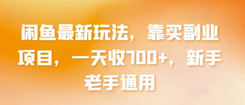 闲鱼最新玩法，靠买副业项目，一天收700+，新手老手通用【揭秘】-资源云