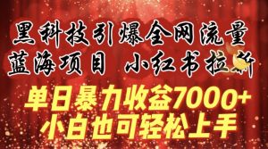 蓝海项目!黑科技引爆全网流量小红书拉新,单日暴力收益7000+,小白也能轻松上手【揭秘】-资源云