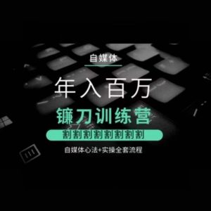 自媒体年入百万镰刀训练营,割割割割割割割割,自媒体心法+实操全套流程-资源云