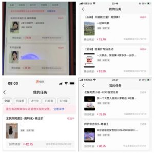2024年3月最新,快手磁力聚星全流程实操教学,8台手机日均收益稳定100~200元【揭秘】-资源云
