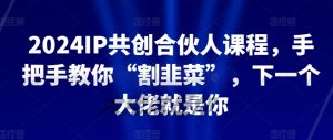 2024IP共创合伙人课程,手把手教你“割韭菜”,下一个大佬就是你-资源云