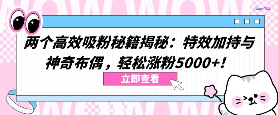 两个高效吸粉秘籍揭秘：特效加持与神奇布偶，轻松涨粉5000+【揭秘】-资源云