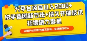 大平台项目日入2000+,快手播剧新方法+持久开播技术,狂撸磁力聚星【揭秘】-资源云